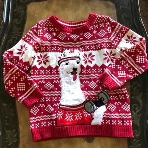 Christmas Lama Working Out Sweater youth Large